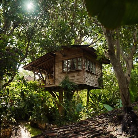 Vila Roots Tree House Uluwatu Exteriér fotografie