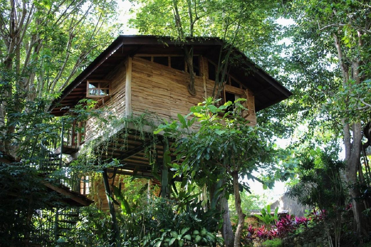 Vila Roots Tree House Uluwatu Exteriér fotografie