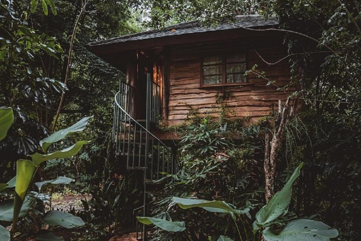 Vila Roots Tree House Uluwatu Exteriér fotografie