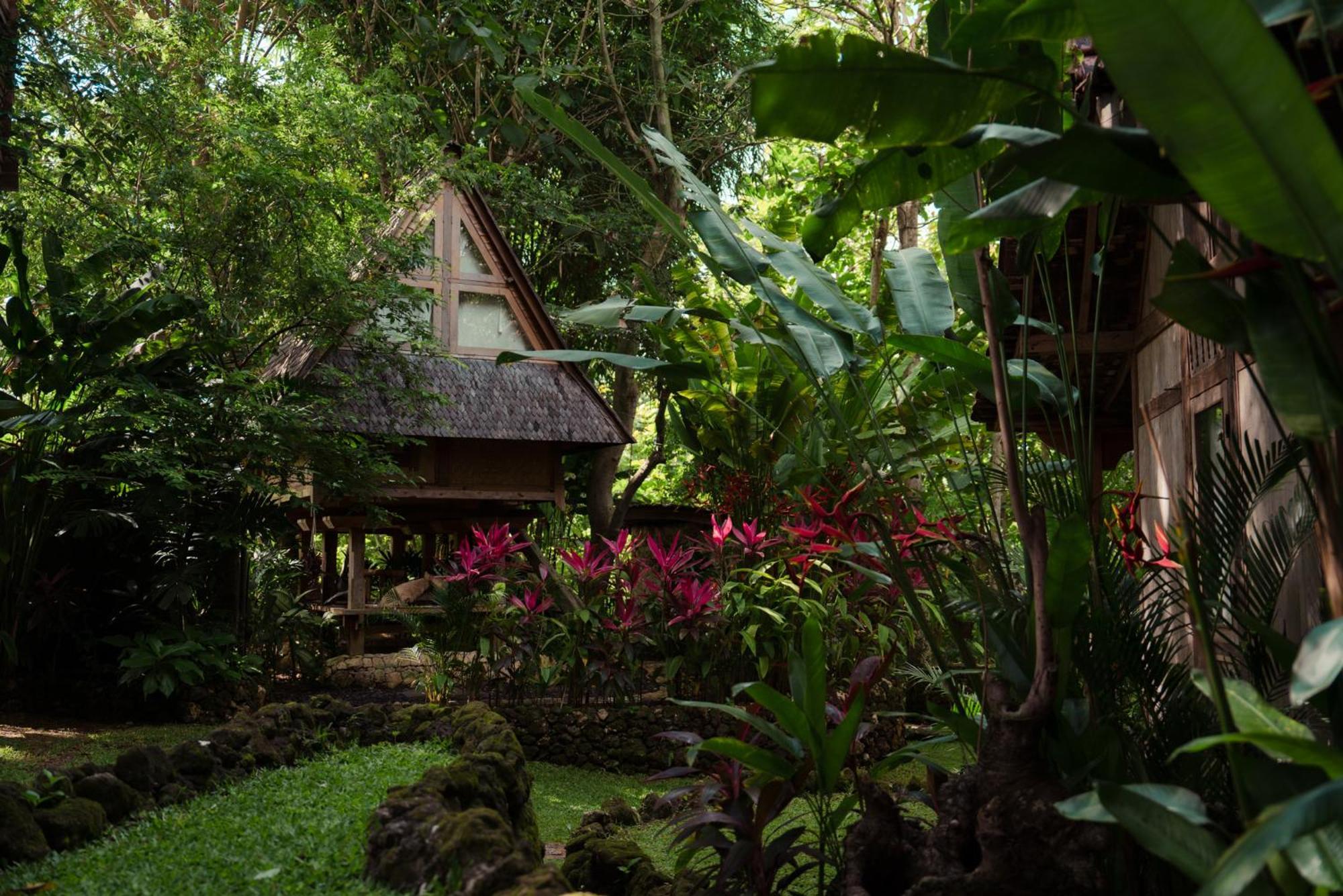 Vila Roots Tree House Uluwatu Exteriér fotografie