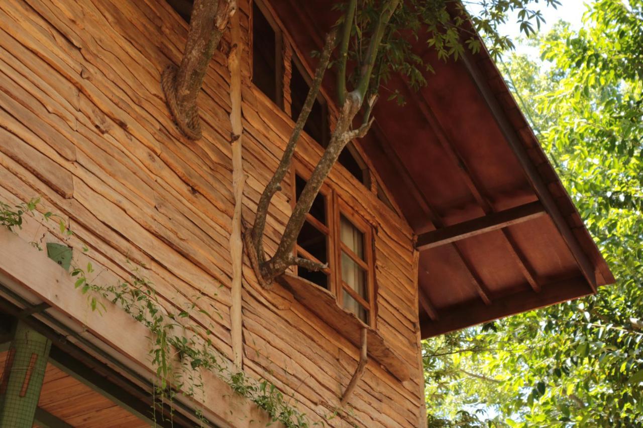 Vila Roots Tree House Uluwatu Exteriér fotografie